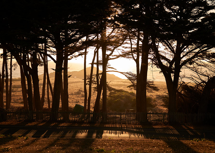 The Sea Ranch Lodge | Official Site